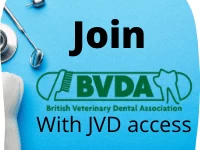 Join BVDA Now