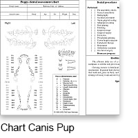 chart canis pup