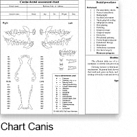 chart canis