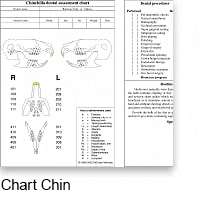 chart chin