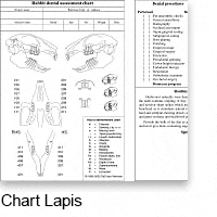 chart lapis